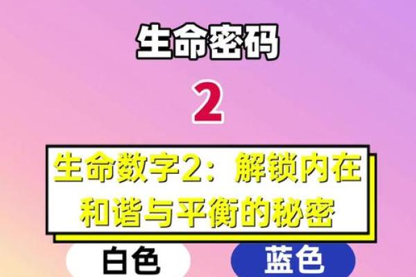 命理解析：命与命相升相减，寻找生命中的平衡与和谐