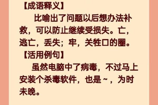 什么狗什么命的成语大全：揭示生活中的智慧与幽默