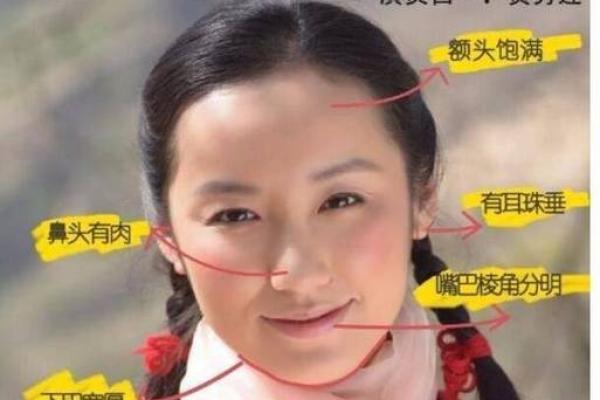 命里带女人的深意：解读女性在命理中的重要角色与影响力