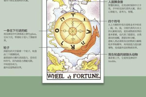 根据命带手表,发现你的命运之轮转动的秘密! 根据命带手表,发现你的命运之轮转动的秘密!