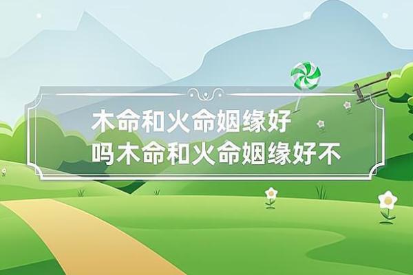 火命之人适合的生意:探寻属于你的成功之路 火命之人适合的生意:探寻属于你的成功之路