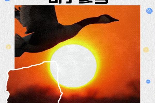 当境界升华,命运之轮随之转动——探讨人生的不同层次与境界的关系 当境界升华,命运之轮随之转动——探讨人生的不同层次与境界的关系