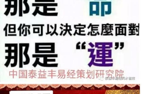 揭开命运之谜:探讨算命中的多种命局与人生轨迹 揭开命运之谜:探讨算命中的多种命局与人生轨迹
