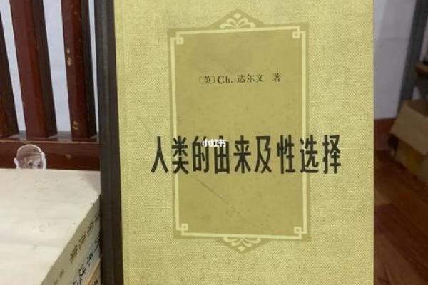 解读女人离婚的背后:命运与选择的交织 解读女人离婚的背后:命运与选择的交织