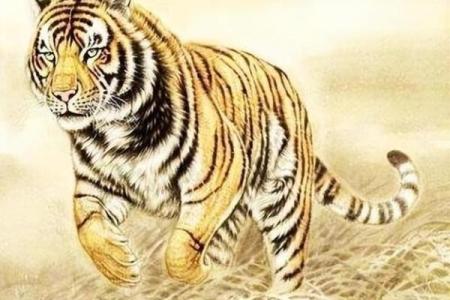 九八年属虎的命运与缺失：深度解析让你更懂自己