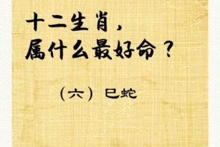 揭开六命之谜：它与生肖之间的秘密联系