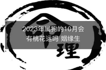 属狗28岁命运解析：成功的关键与挑战的应对