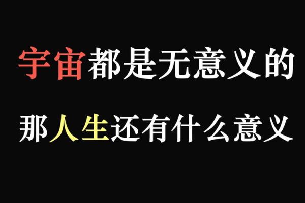 探寻“命也是命”的玄机：妈娄的智慧与人生哲学