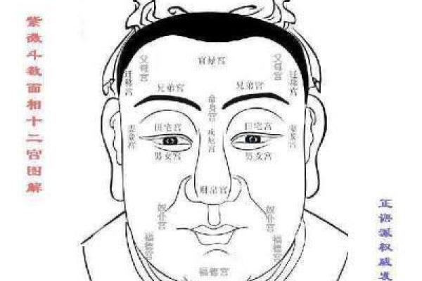 揭秘女人眉毛破相对命运的影响与调和方法 揭秘女人眉毛破相对命运的影响与调和方法
