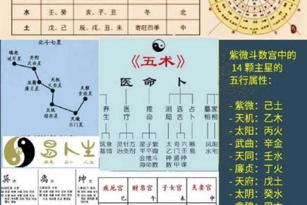 1982年出生的女性命理解析：揭示命运的五行之道