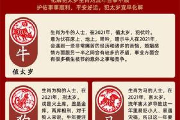 2018年是什么命？深度探讨与生肖命理的奥秘