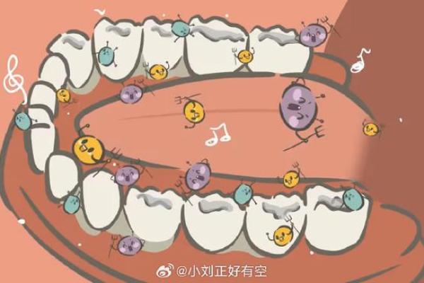 揭秘28颗牙齿的命运与人生:从口腔健康谈运势与幸福 揭秘28颗牙齿的命运与人生:从口腔健康谈运势与幸福