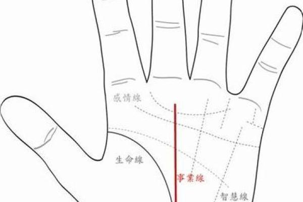 揭示上等命格的手相特征,助你洞察人生优势! 揭示上等命格的手相特征,助你洞察人生优势!