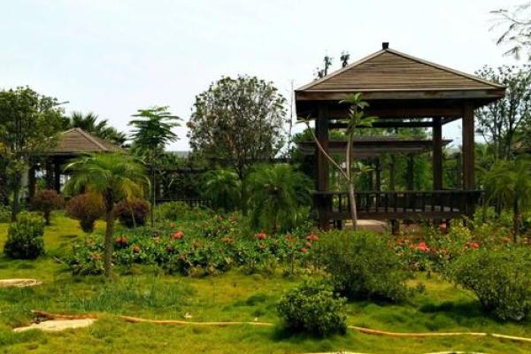 快乐是什么?探索心灵深处的净土与幸福之源 快乐是什么?探索心灵深处的净土与幸福之源