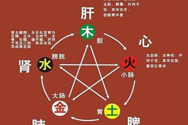 丙火命缺水缺金,何以解忧与转运之道? 丙火命缺水缺金,何以解忧与转运之道?