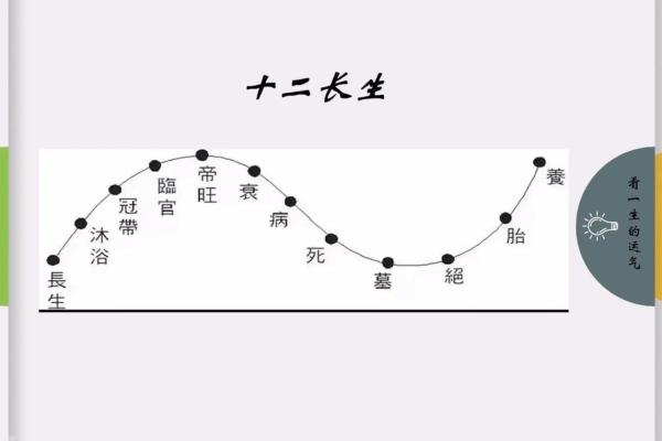 知命而不信命，从而改命的智慧探讨