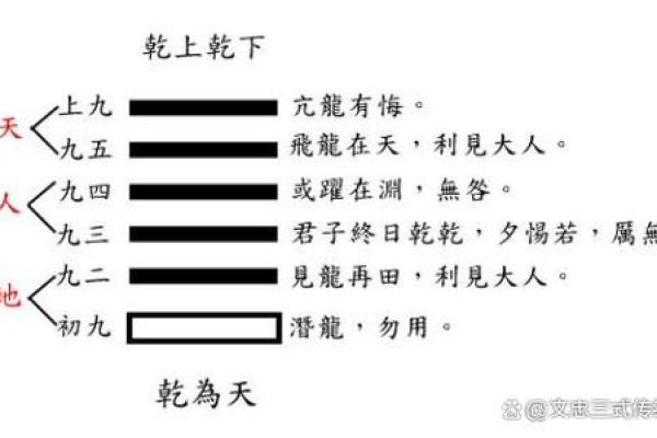 如何判断你是什么命：揭示命运背后的奥秘与智慧