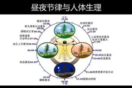 上身长腿长，命理解读与生活启示：你是否具备幸福的基因？