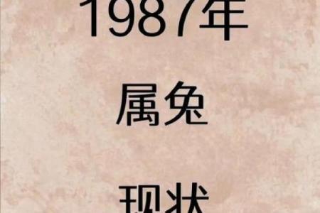 兔年出生的75岁命运解析：生命中的智慧与机遇