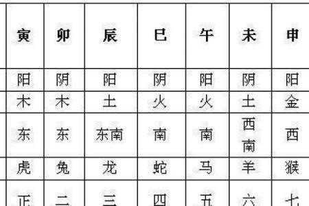 解析土命与缝辰己土命的深刻内涵与影响