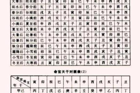 探寻橘色与男孩命格的奇妙结合：从五行看适合的性格与发展方向