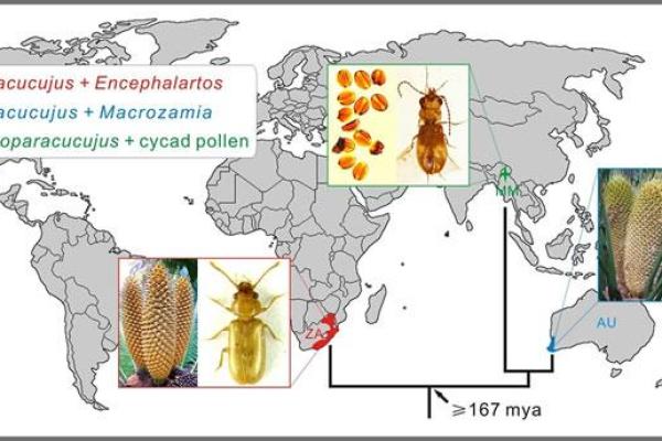 金箔金命：揭示你的命运与未来的神秘艺术