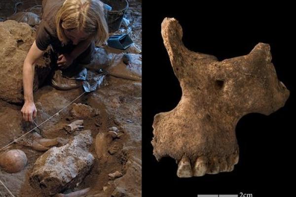 金箔金命：揭示你的命运与未来的神秘艺术