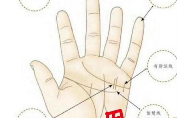 看手相右手命运解密,揭示内心深处的秘密 看手相右手命运解密,揭示内心深处的秘密