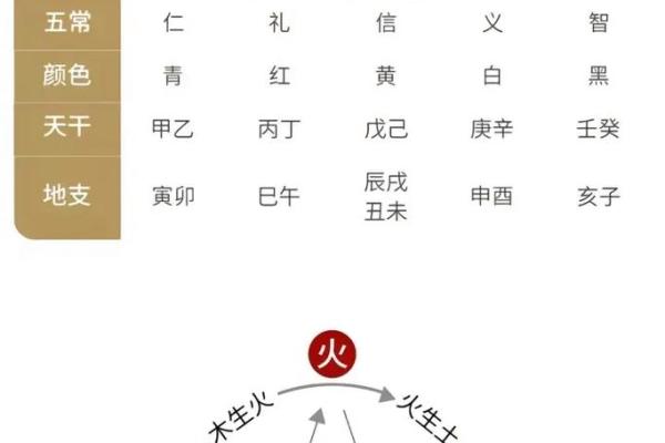 2019土命缺什么？揭示命理背后的秘密与改善方法