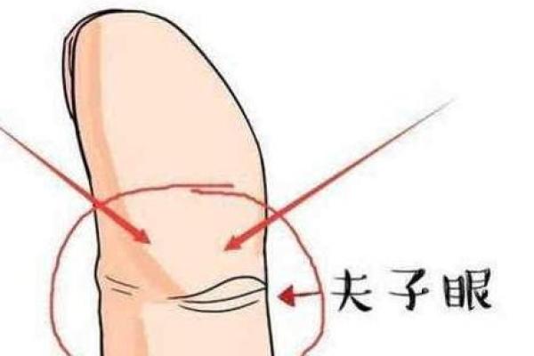 根据脚掌特征揭示人生命运奥秘，了解你与生俱来的潜力和运势！