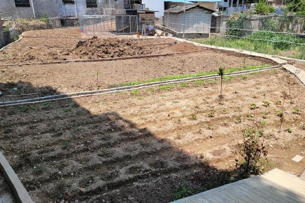 搞种植的人,多数命运如同庄稼,努力耕耘终有回报! 搞种植的人,多数命运如同庄稼,努力耕耘终有回报!