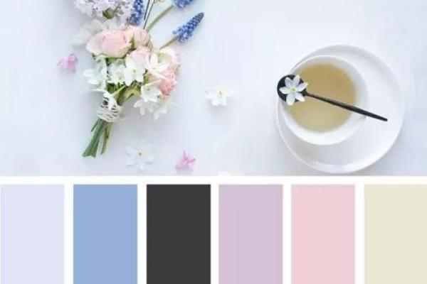 金命之美：色彩搭配与运势提升的完美之道