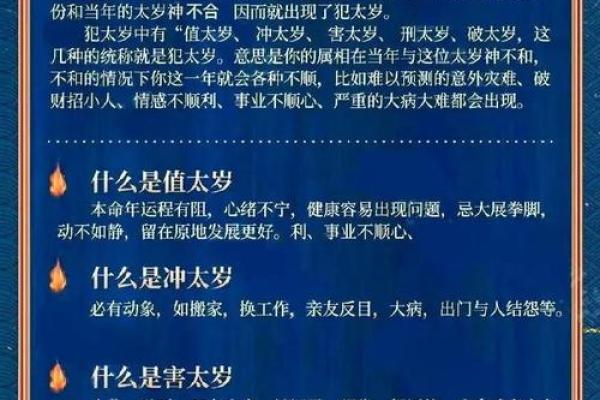 属猪人的命运解析：缺什么、需注意的五大要素