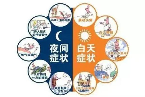 嗜睡如命的生肖故事：揭秘懒惰与勤奋之间的平衡