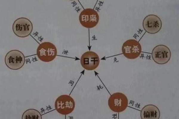 命理学的奥秘：揭示人生轨迹与性格的密码