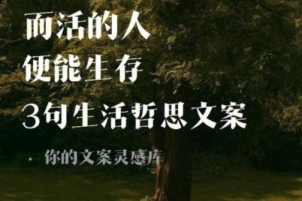 探索饿金命之道：适合的手势与其生活的哲学探讨