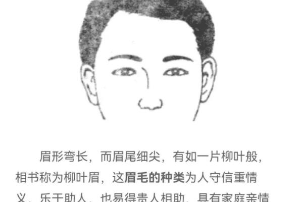 男人有眉毛是什么命？探讨眉毛与命运的奥秘