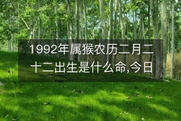 1956年属猴人的命运与性格分析：奇妙与机遇并存!