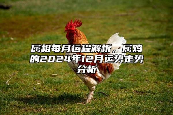 月出生与命属相解析：探索命运与性格的奥秘