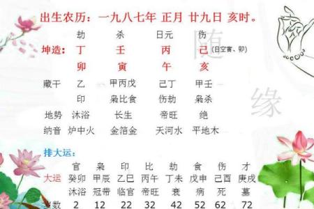 2017年命运解析：你缺什么，如何改善运势？