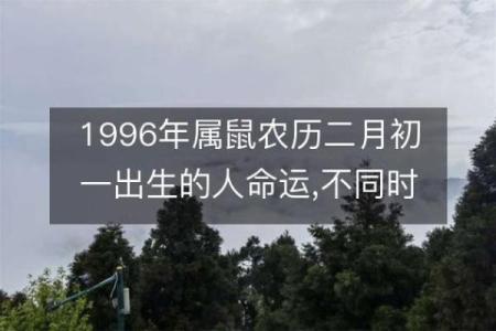 2020年属鼠之命运解析：揭示人生路上的机遇与挑战