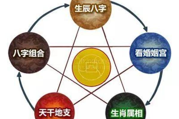 2018狗年男宝宝命理解析：如何为孩子选择适合的发展方向与未来