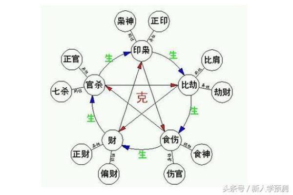 枭在命理学中的象征意义与解读探究