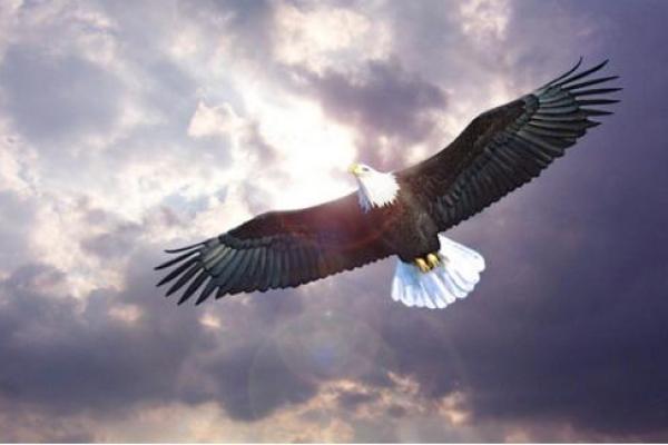 沙中土命的深刻解读:探寻命理与人生的奇妙联系 沙中土命的深刻解读:探寻命理与人生的奇妙联系