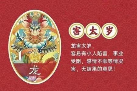 探索龙命理：属龙男性的命格与命运解析