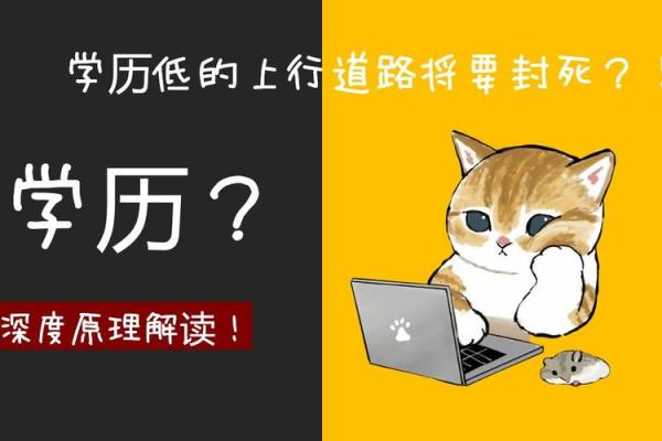 探秘无手纹人生：命运与个性的深层解读