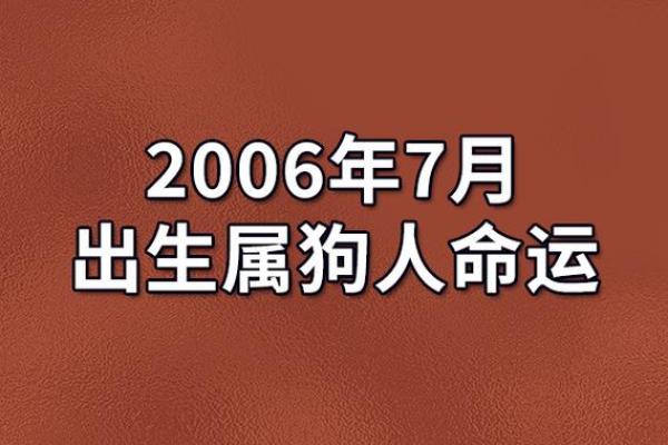 属狗上司的命运与职场发展解析