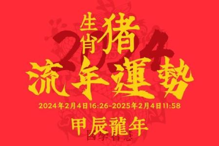 2011年属猪人的命理分析与运势展望