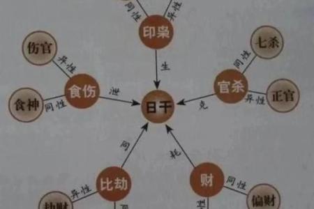 探索下午亥时出生之命：命理学的奥秘与人生解读