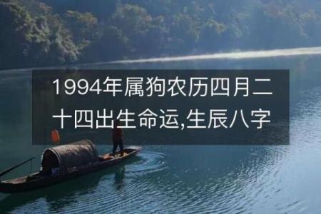 运势与性格：1994年属狗人的命运解析